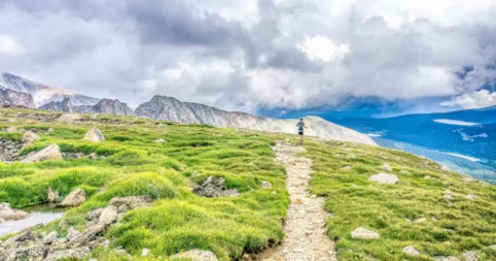 Mountain trail winding upward through a rugged landscape, symbolizing resilience