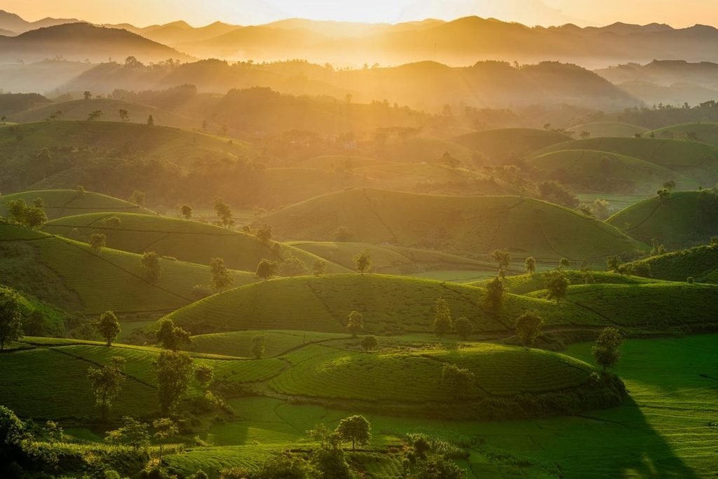 Golden sunrise over green rolling hills symbolizing hope and growth
